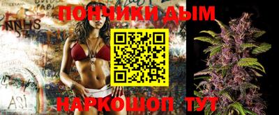 прущие крисы Будённовск
