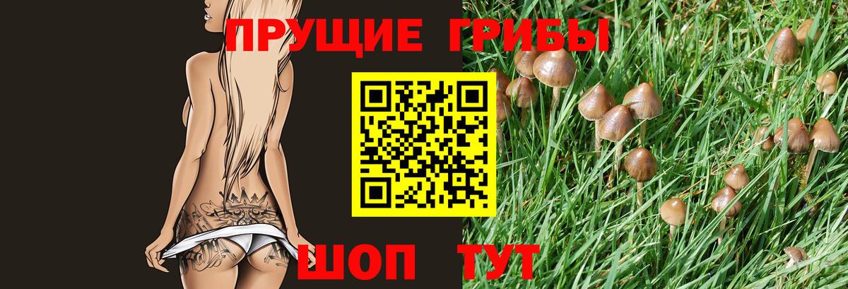 Галлюциногенные грибы GOLDEN TEACHER  Грозный 