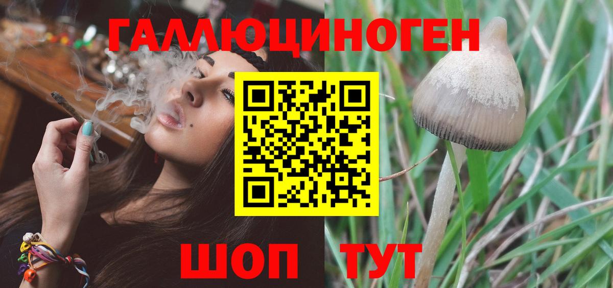 Псилоцибиновые грибы прущие грибы Грозный