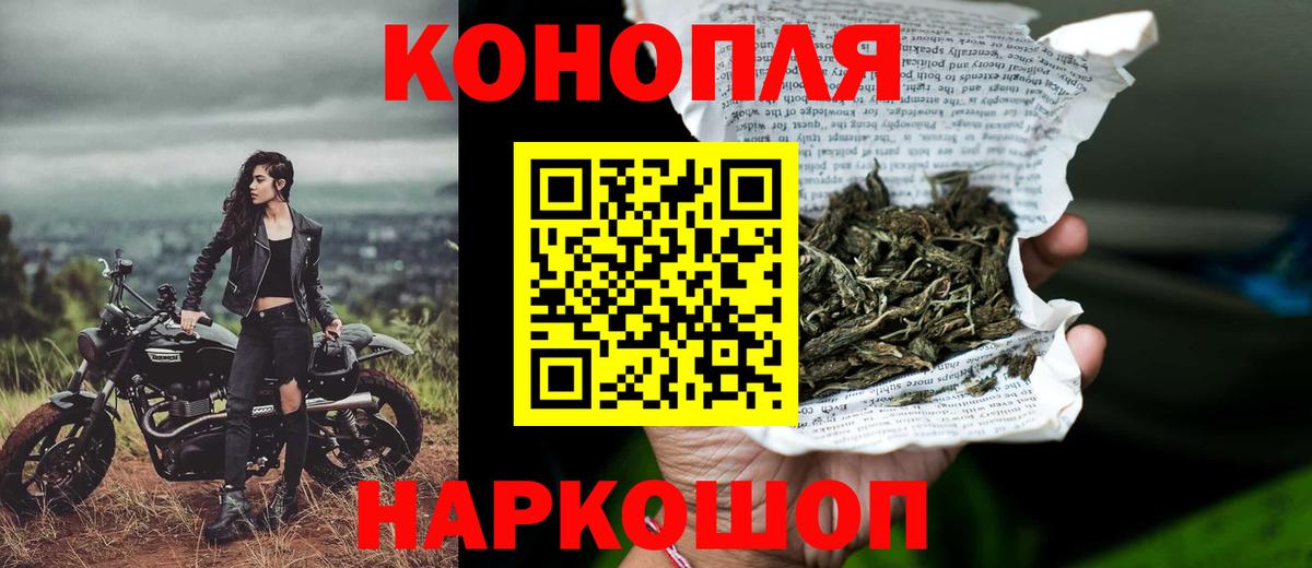 МАРИХУАНА семена Грозный
